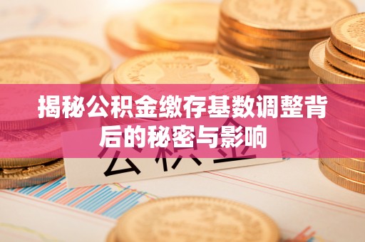 库车揭秘公积金缴存基数调整背后的秘密与影响