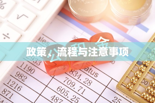 库车政策、流程与注意事项