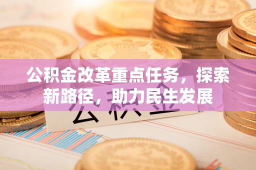 库车公积金改革重点任务，探索新路径，助力民生发展