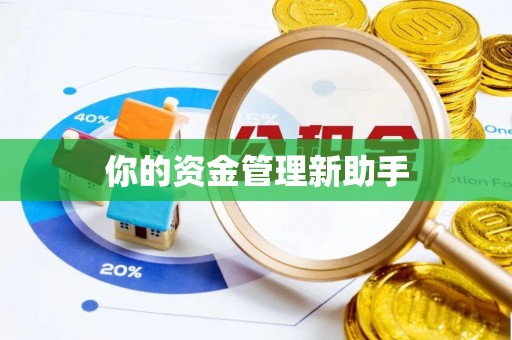 库车你的资金管理新助手