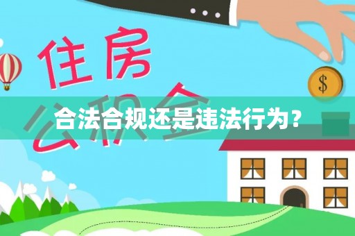 库车合法合规还是违法行为？