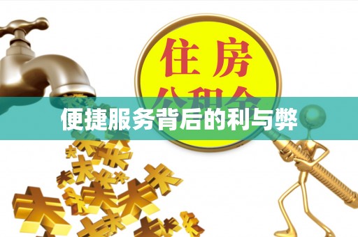 库车便捷服务背后的利与弊