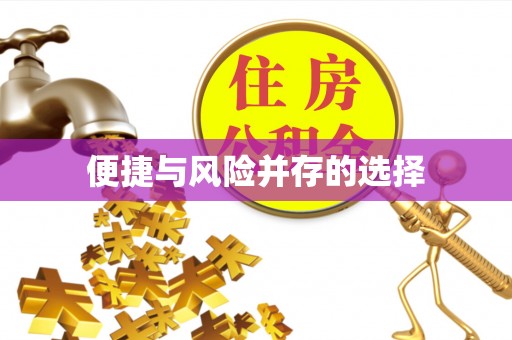 库车便捷与风险并存的选择