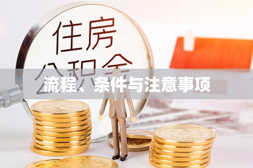 库车流程、条件与注意事项