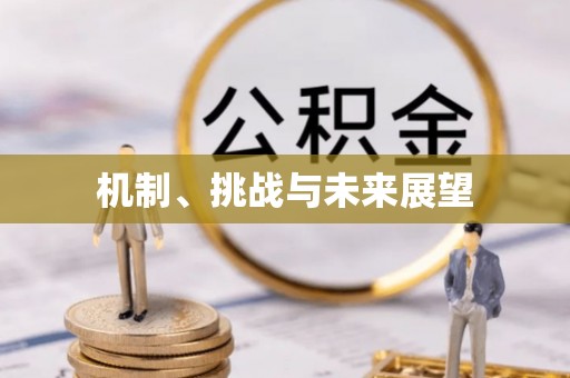 库车机制、挑战与未来展望